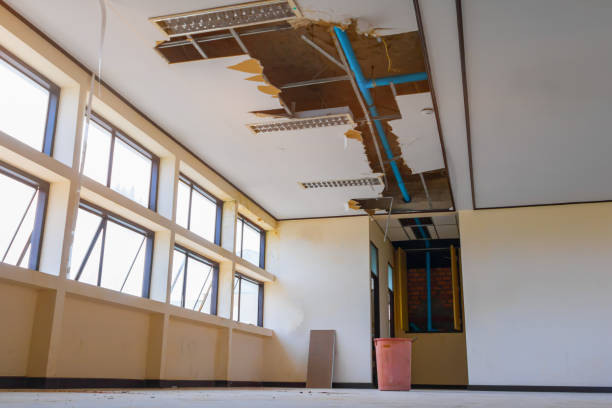 Carpet water damage restoration in KY