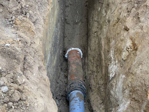 Best Flood damage cleanup  in Plano, KY