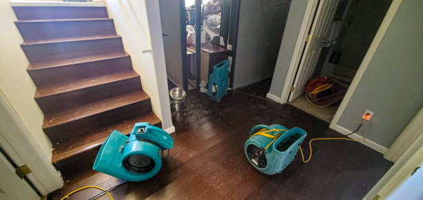 Best Local water damage restoration  in Plano, KY