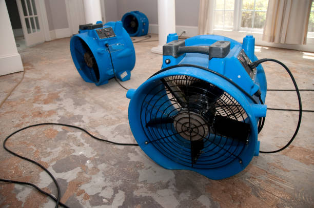 Best Ceiling water damage repair  in Plano, KY