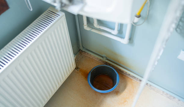 Best Water damage contractors near me  in Plano, KY