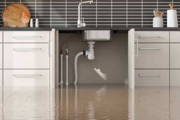 Best Water damage mitigation services  in Plano, KY
