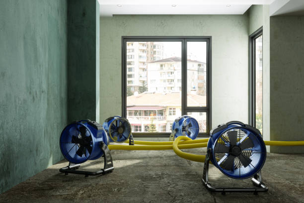 Best Emergency water damage restoration  in Plano, KY