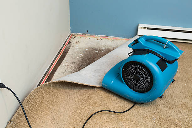 Best Flood restoration services  in Plano, KY